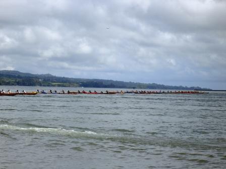 Outrigger race in Hilo